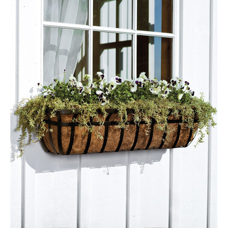 Gracie Oaks Ajalae Metal Window Box Planter Wayfair